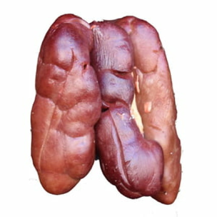 Beef Kidney -1 KG