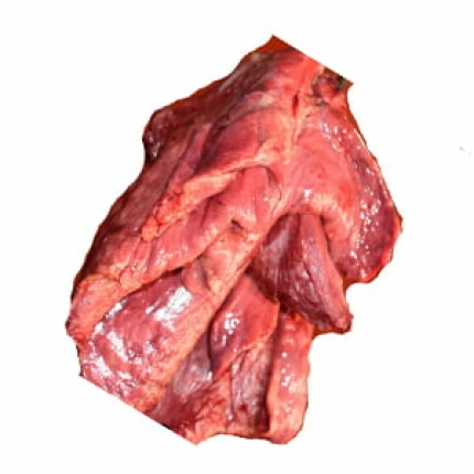 Beef Lungs -1 KG