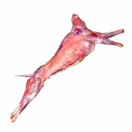 Whole Mutton (Kaakes) -1 KG