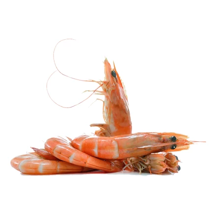 Prawns (Medium)-1 KG