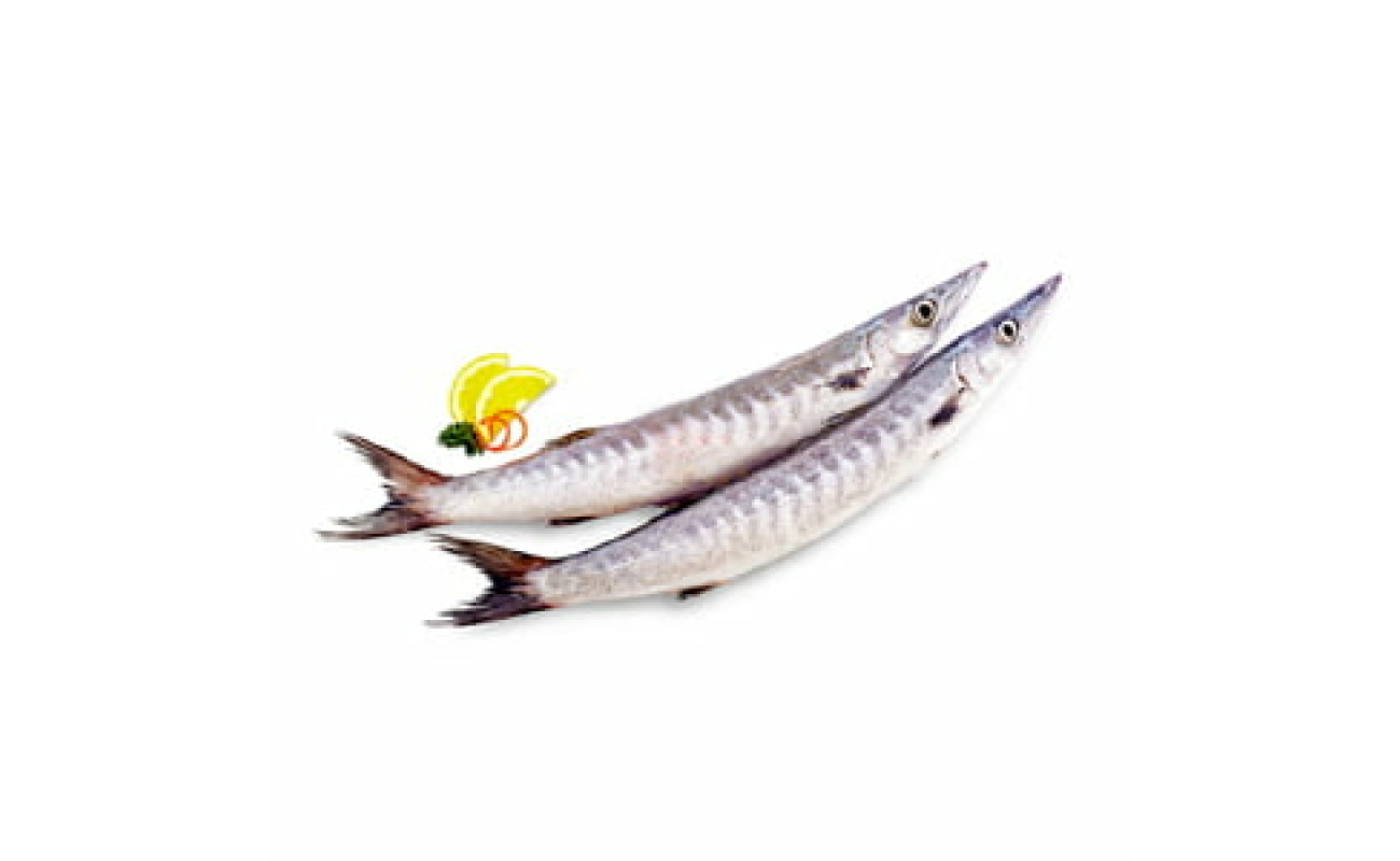 Barracudas (Jeelawa)-1 KG