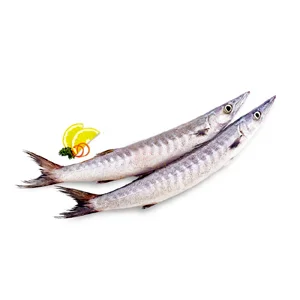 Barracudas (Jeelawa)-1 KG