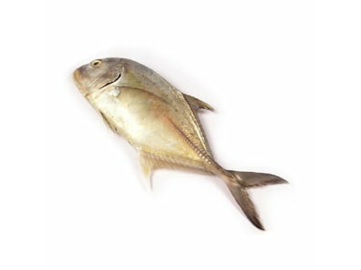 Paraw Fish (Trevallies) -1 KG