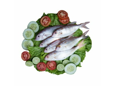 Sudha (Threedfin Bream) -1 KG