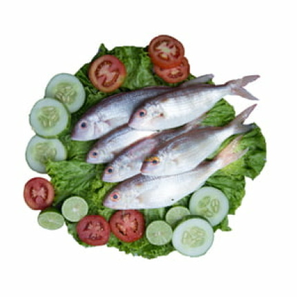 Sudha (Threedfin Bream) -1 KG