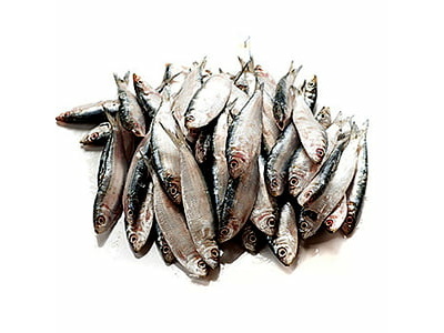 Salaya (Sardinella) -1 KG