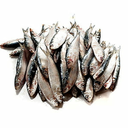 Salaya (Sardinella) -1 KG