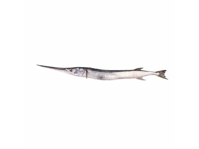 Gar fish (Habarali) -1 KG