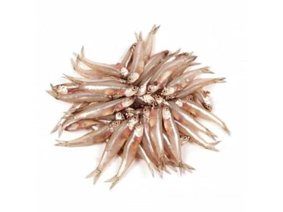 Small Anchovy (Andella) -1 KG