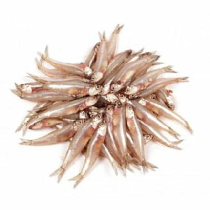 Small Anchovy (Andella) -1 KG