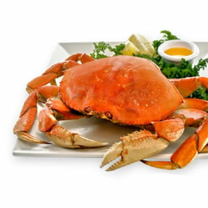 Big Crab -1 KG