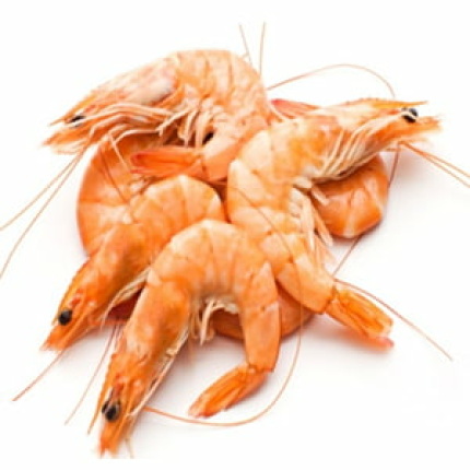 Small Prawn -1 KG