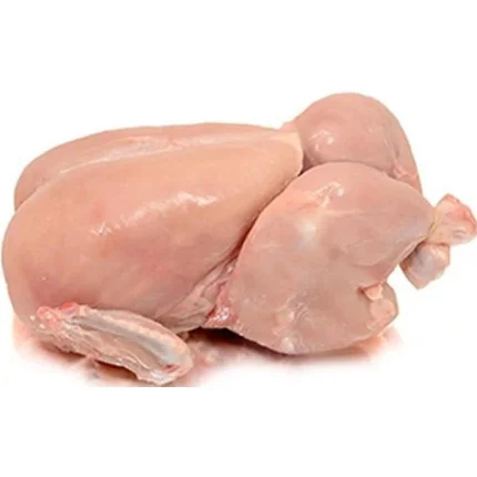 Broiler Chicken (S/L)- KG