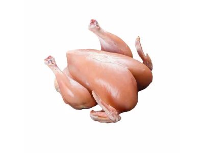 Broiler Chicken (S/L)- KG