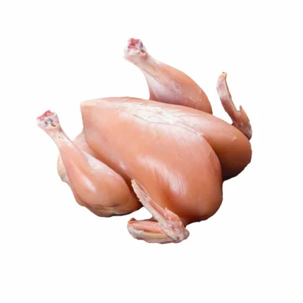 Broiler Chicken (S/L)- KG