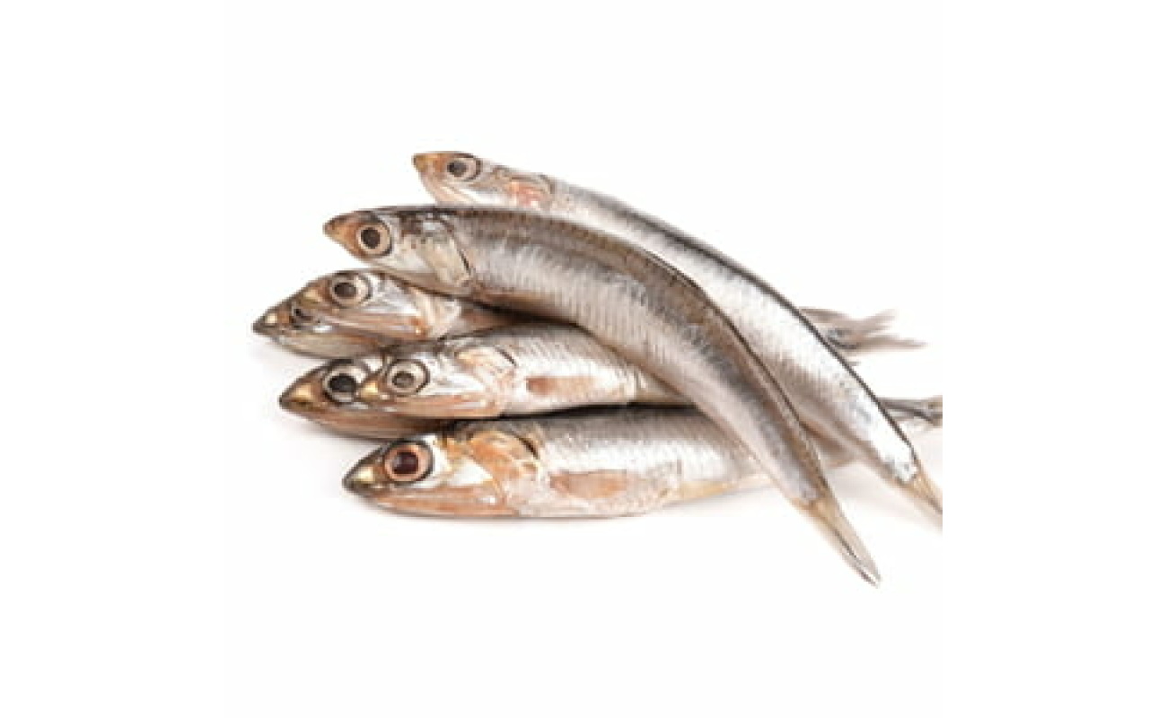 Big Anchovy -1 KG