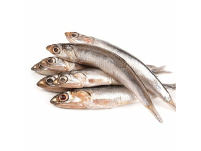 Big Anchovy -1 KG