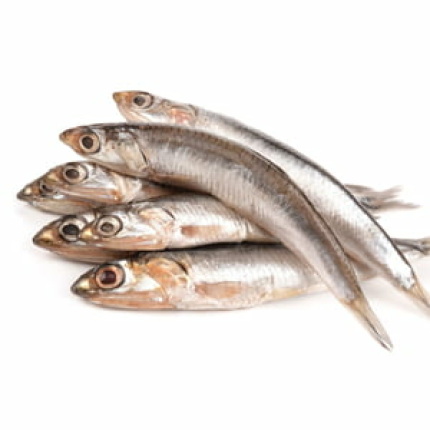 Big Anchovy -1 KG