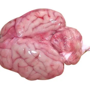 Goat Brain(numbers)